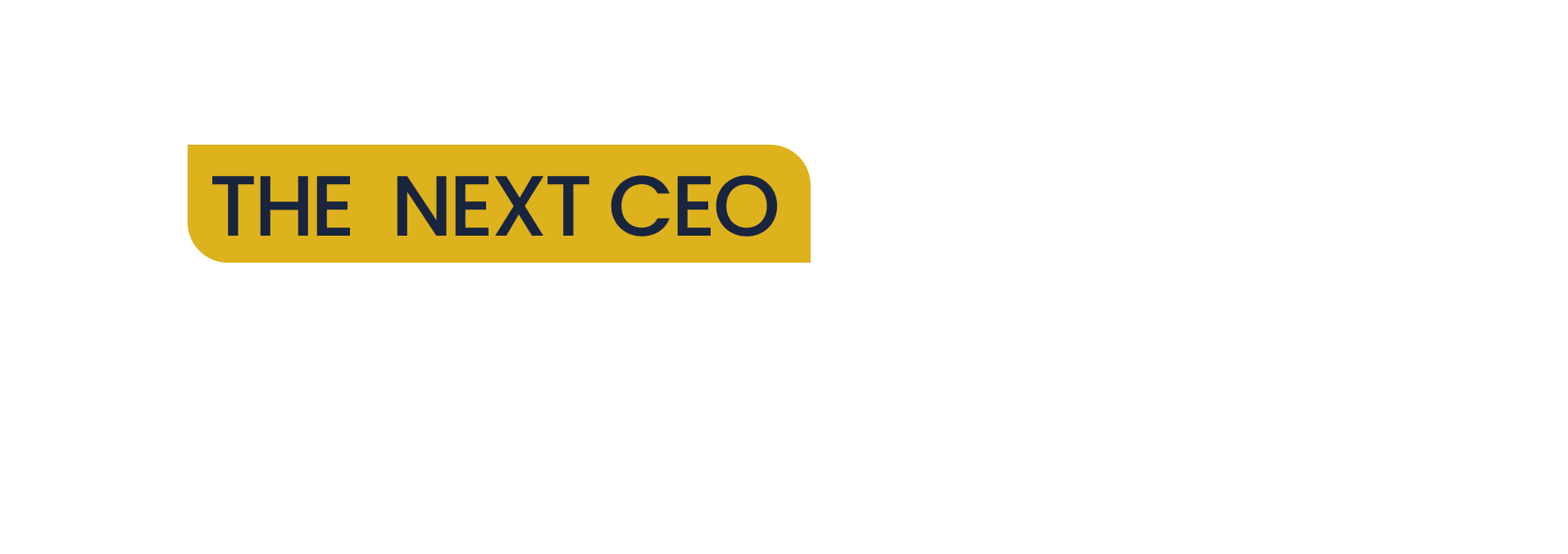 Logo The Next CEO Workshop